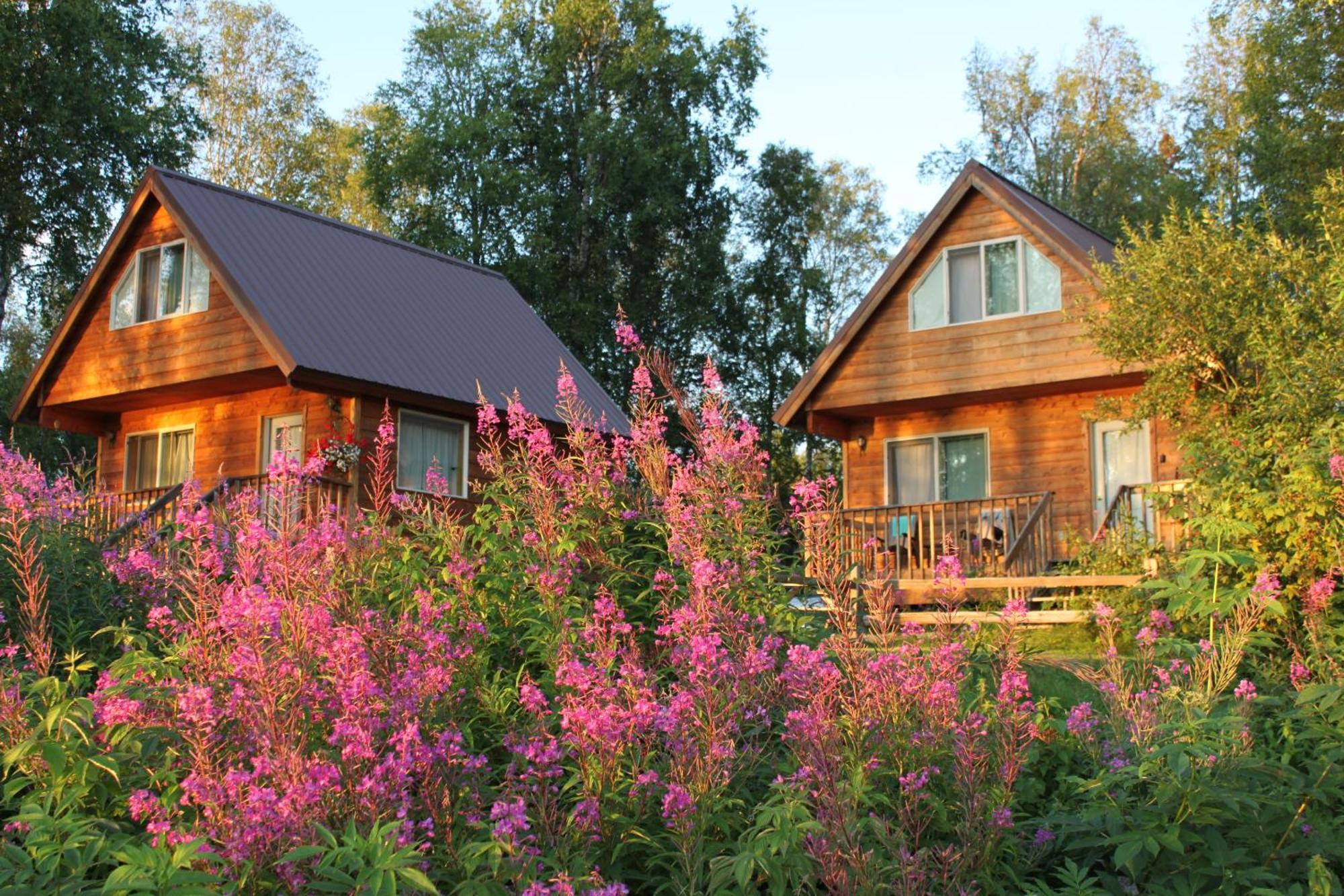 Susitna River Lodging, Riverside Cabins Talkeetna Εξωτερικό φωτογραφία