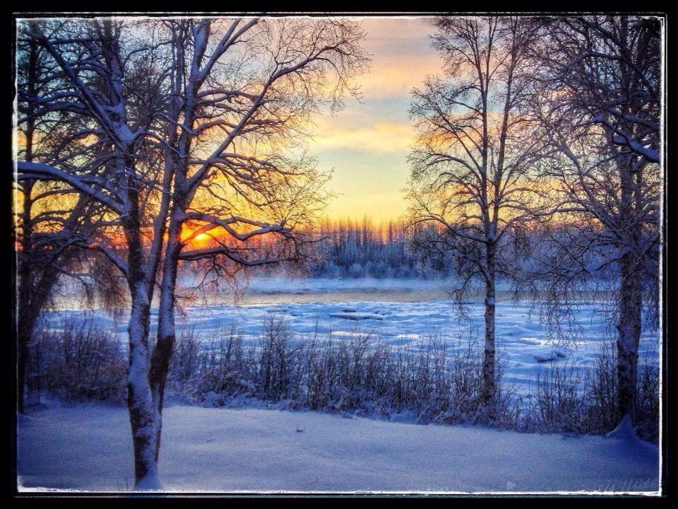 Susitna River Lodging, Riverside Cabins Talkeetna Εξωτερικό φωτογραφία